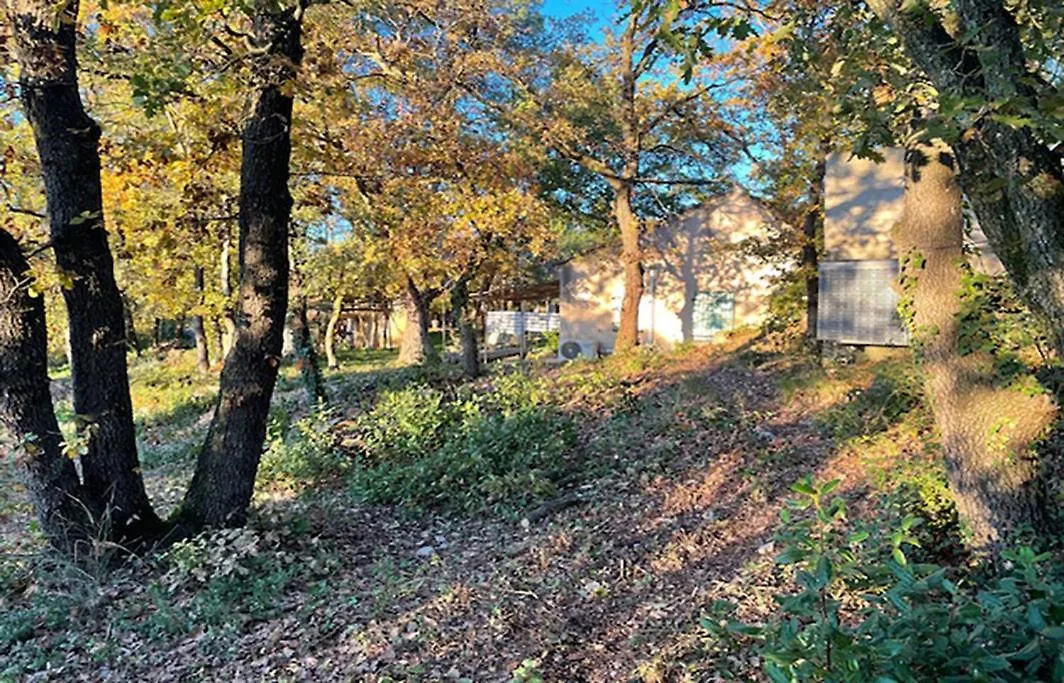 Holiday home Gite Du Jonquas Velleron